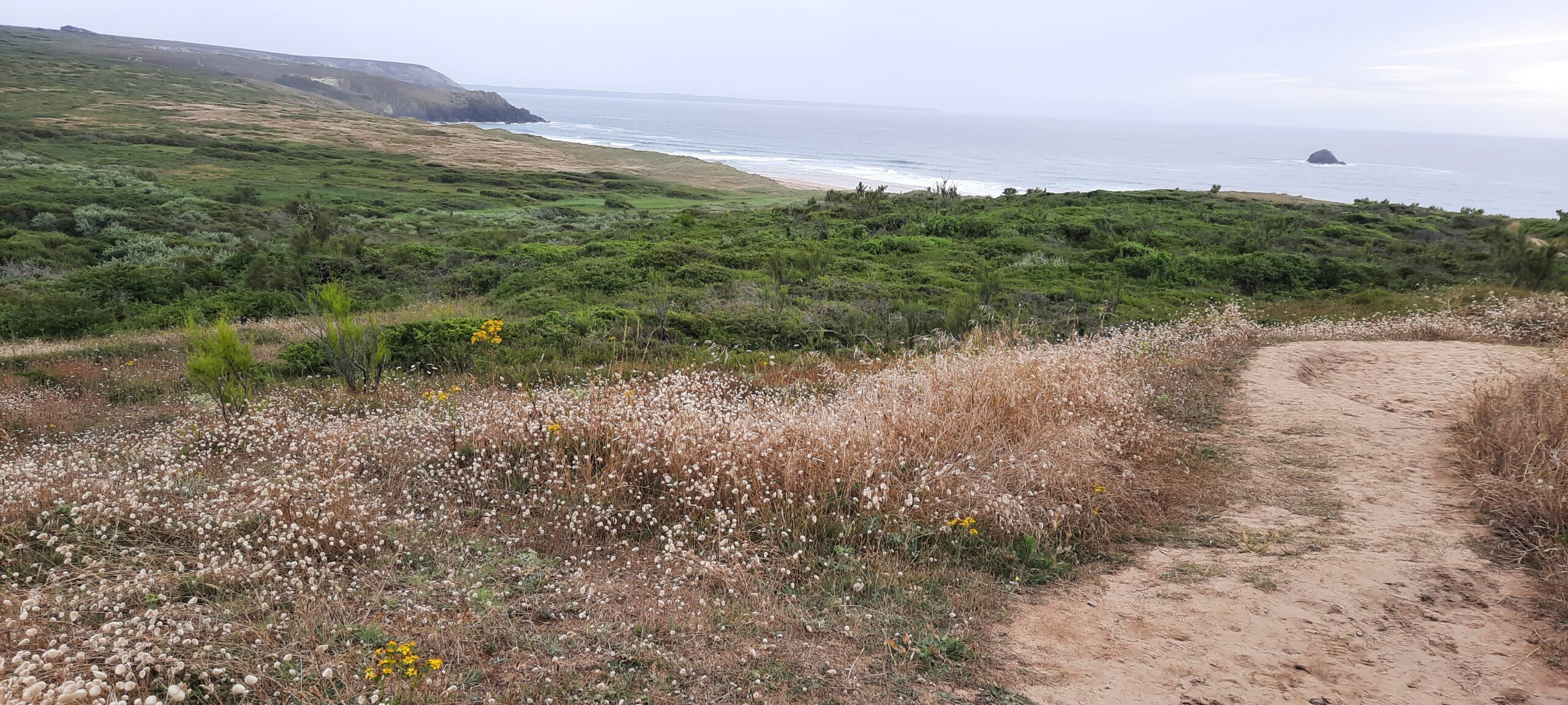 Plage de la Palue weit